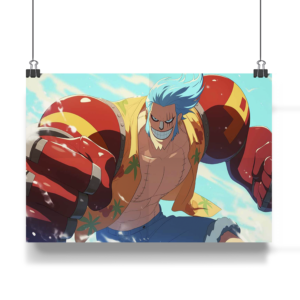 franky one piece